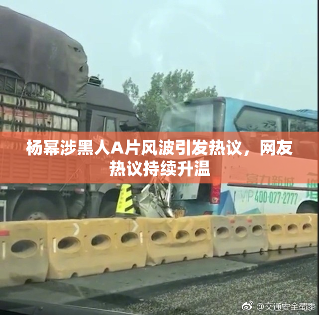 杨幂涉黑人A片风波引发热议，网友热议持续升温