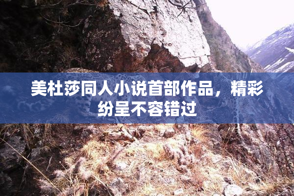 美杜莎同人小说首部作品，精彩纷呈不容错过