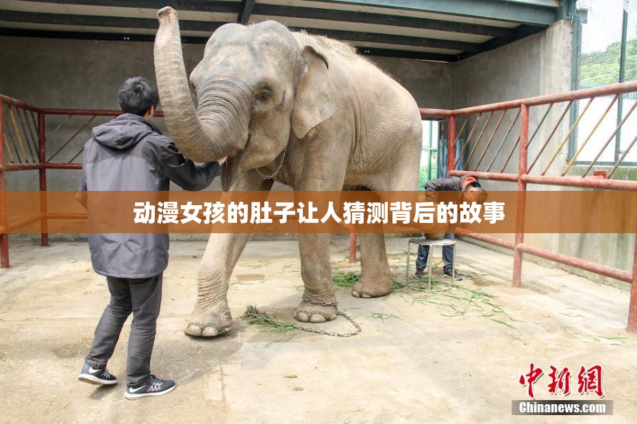 动漫女孩的肚子让人猜测背后的故事