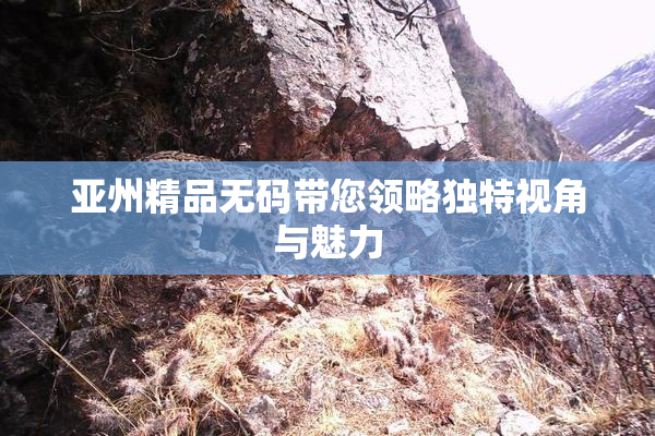亚州精品无码带您领略独特视角与魅力