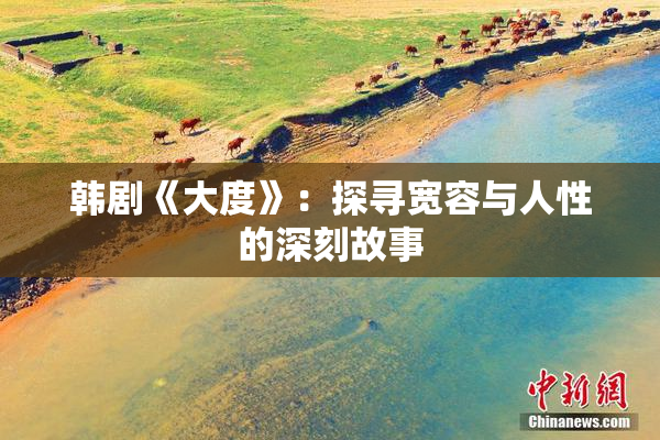 韩剧《大度》：探寻宽容与人性的深刻故事