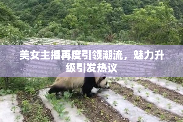 美女主播再度引领潮流，魅力升级引发热议