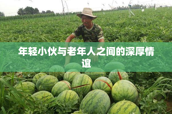 年轻小伙与老年人之间的深厚情谊