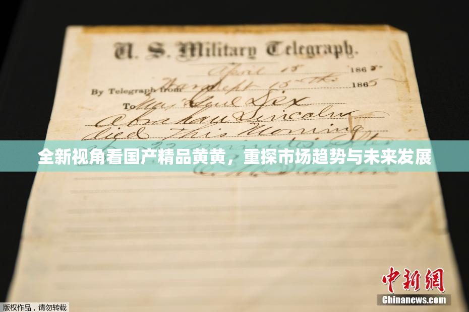 全新视角看国产精品黄黄，重探市场趋势与未来发展