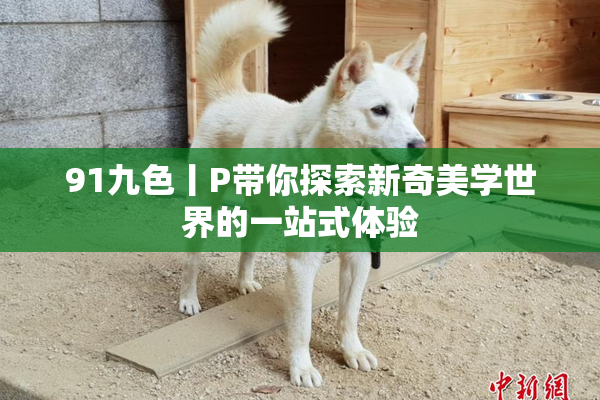 91九色丨P带你探索新奇美学世界的一站式体验
