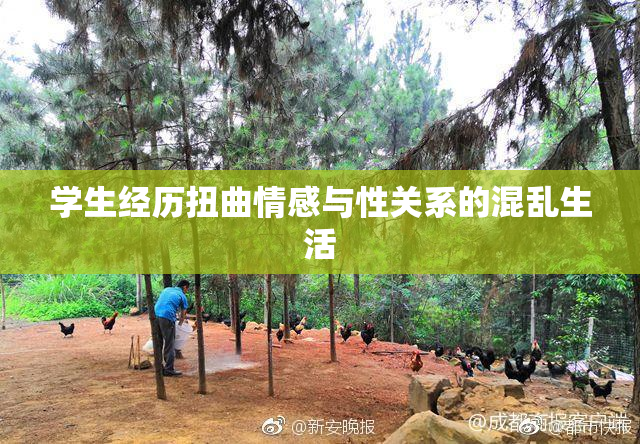 学生经历扭曲情感与性关系的混乱生活