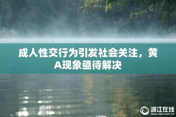 成人性交行为引发社会关注，黄A现象亟待解决