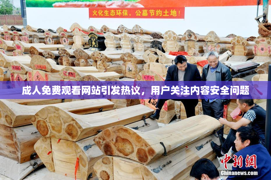 成人免费观看网站引发热议，用户关注内容安全问题