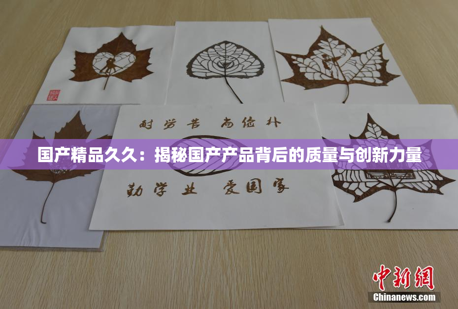 国产精品久久：揭秘国产产品背后的质量与创新力量