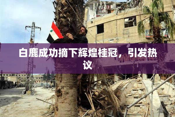 白鹿成功摘下辉煌桂冠，引发热议