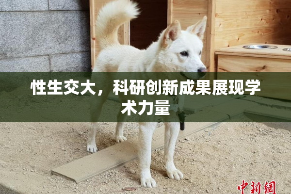 性生交大，科研创新成果展现学术力量