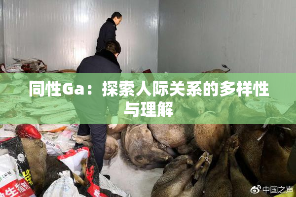 同性Ga：探索人际关系的多样性与理解