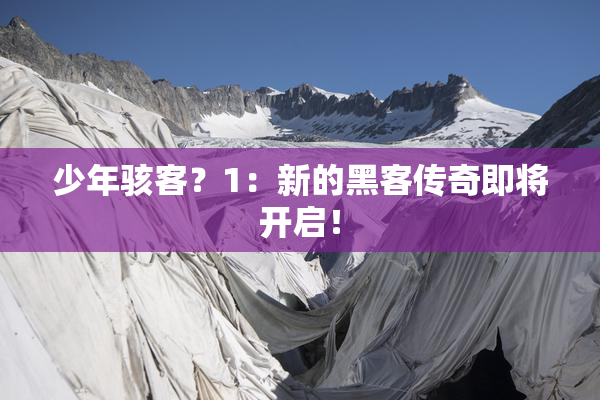 少年骇客？1：新的黑客传奇即将开启！
