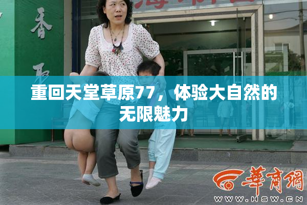 重回天堂草原77，体验大自然的无限魅力
