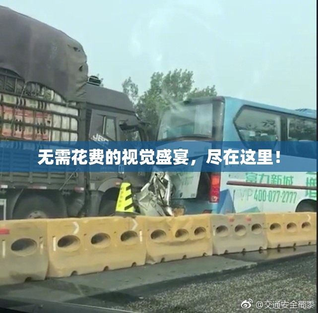 无需花费的视觉盛宴，尽在这里！