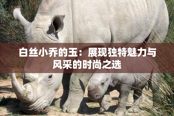 白丝小乔的玉：展现独特魅力与风采的时尚之选