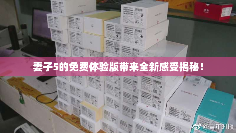 妻子5的免费体验版带来全新感受揭秘！