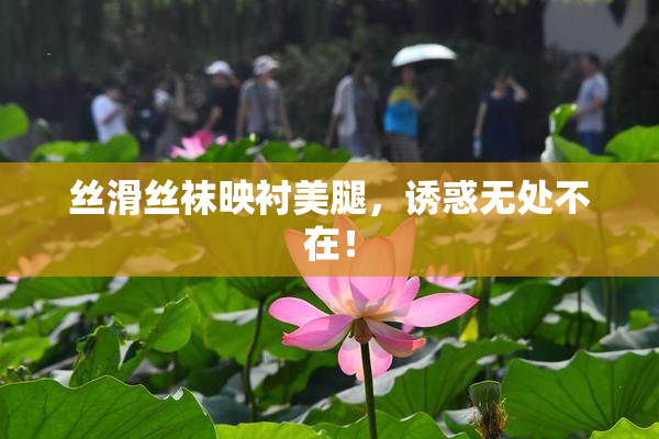 丝滑丝袜映衬美腿，诱惑无处不在！