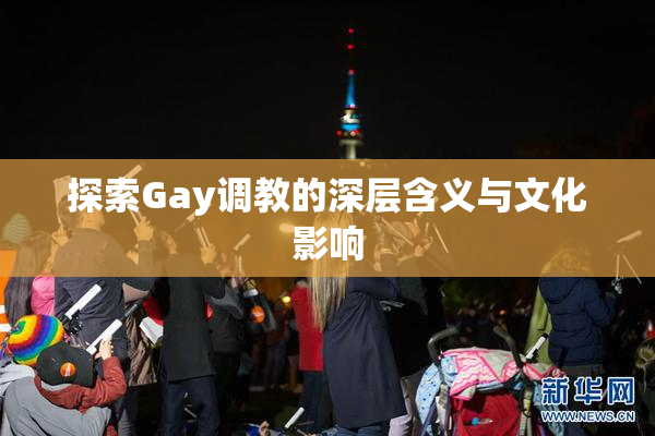 探索Gay调教的深层含义与文化影响