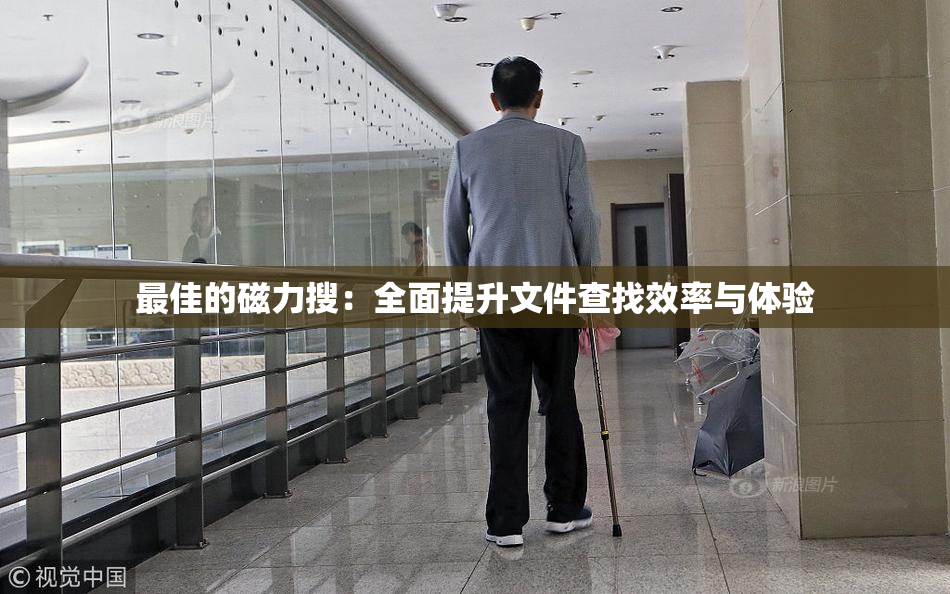 最佳的磁力搜：全面提升文件查找效率与体验