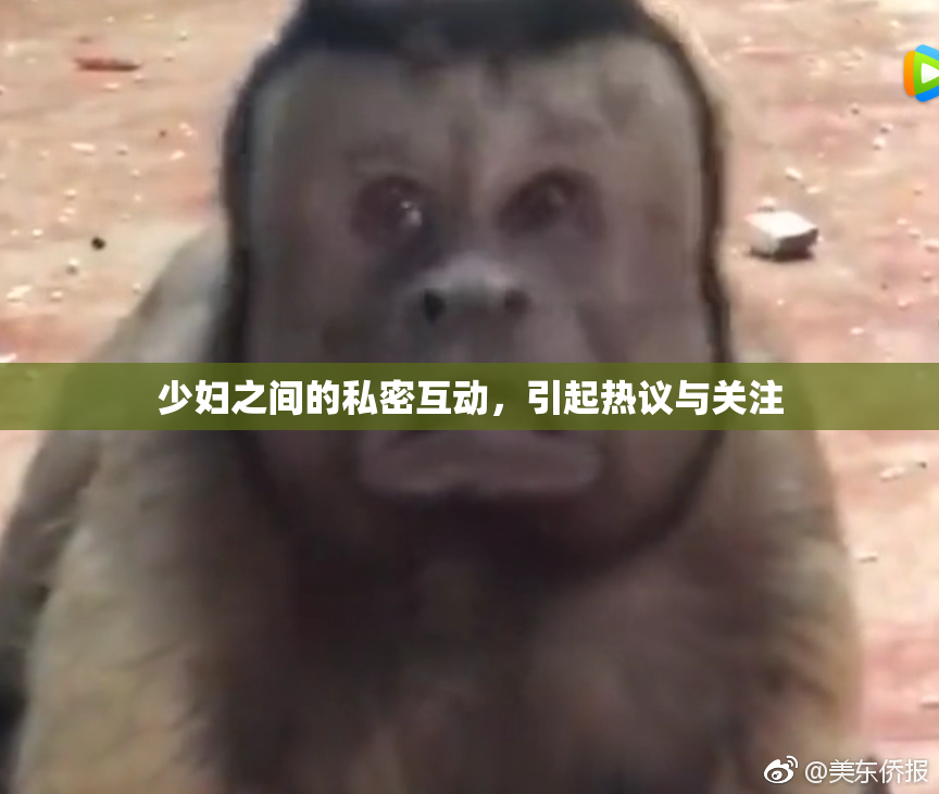 少妇之间的私密互动，引起热议与关注