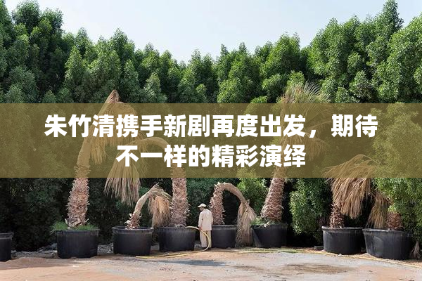 朱竹清携手新剧再度出发，期待不一样的精彩演绎