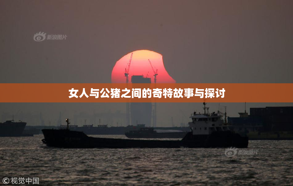 女人与公猪之间的奇特故事与探讨
