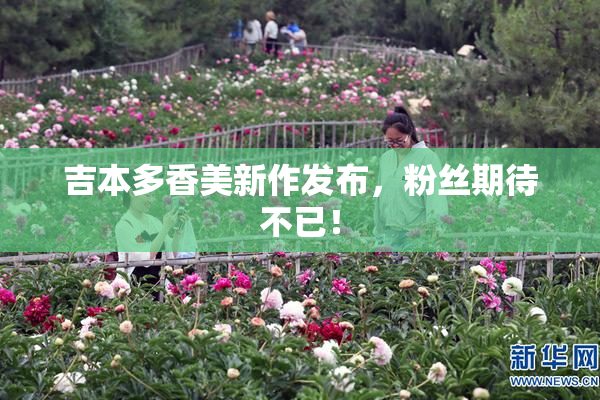 吉本多香美新作发布，粉丝期待不已！