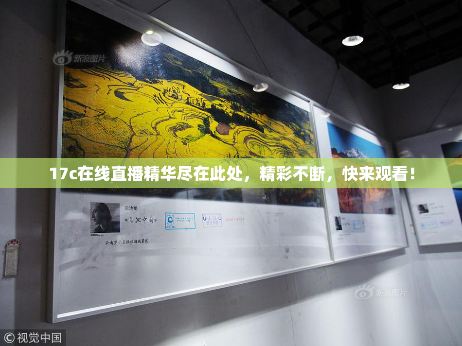 17c在线直播精华尽在此处，精彩不断，快来观看！