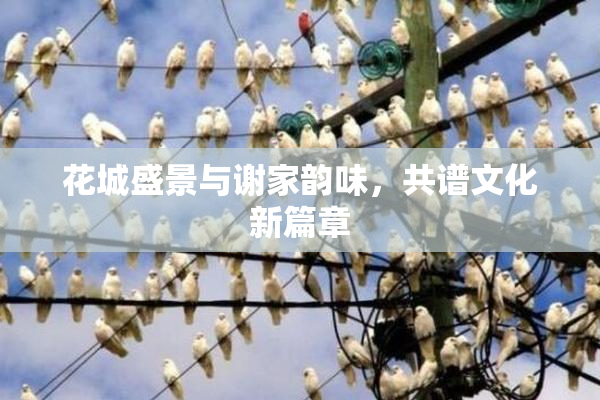 花城盛景与谢家韵味，共谱文化新篇章