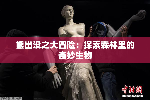 熊出没之大冒险：探索森林里的奇妙生物