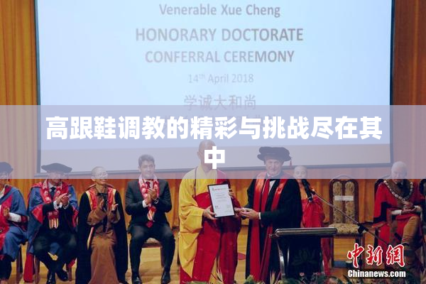 高跟鞋调教的精彩与挑战尽在其中