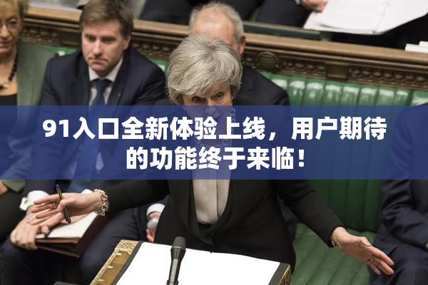 91入口全新体验上线，用户期待的功能终于来临！