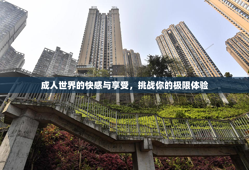 成人世界的快感与享受，挑战你的极限体验