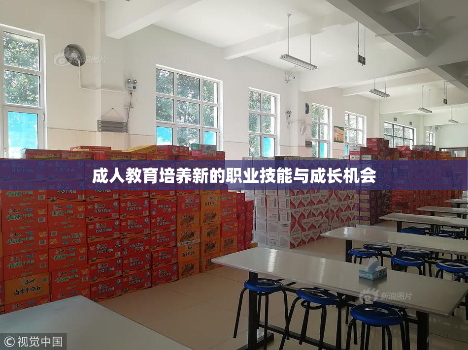 成人教育培养新的职业技能与成长机会