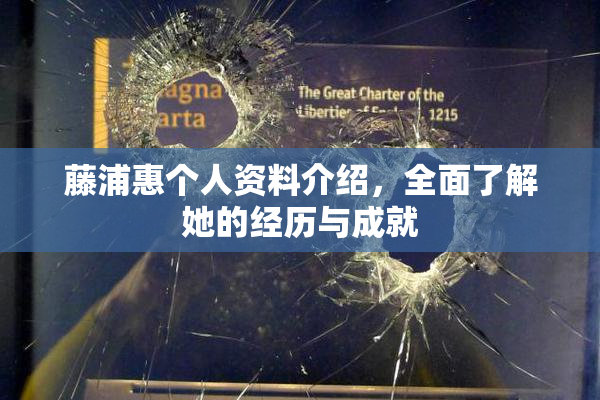 藤浦惠个人资料介绍，全面了解她的经历与成就