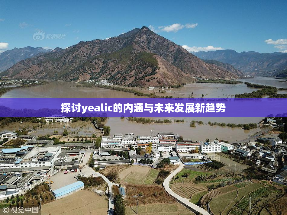 探讨yealic的内涵与未来发展新趋势