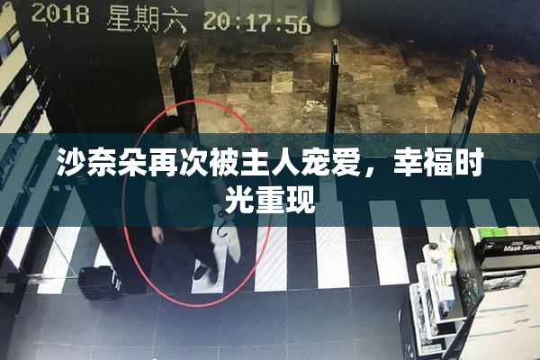 沙奈朵再次被主人宠爱，幸福时光重现