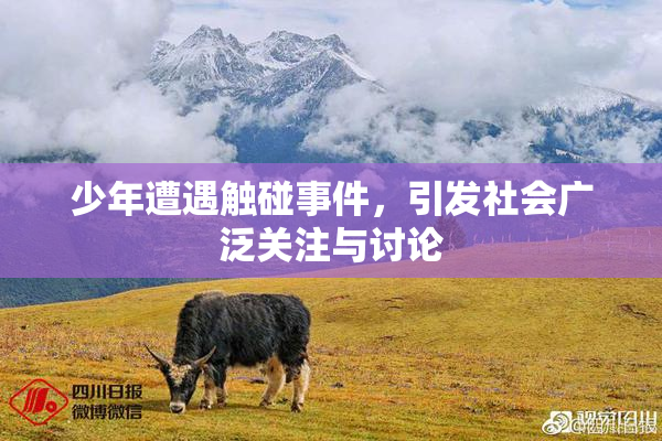 少年遭遇触碰事件，引发社会广泛关注与讨论