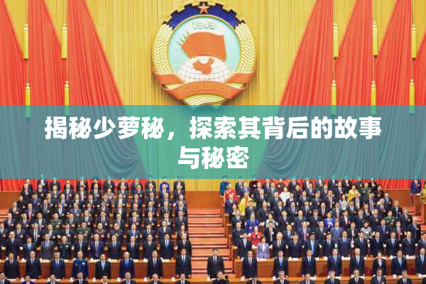 揭秘少萝秘，探索其背后的故事与秘密