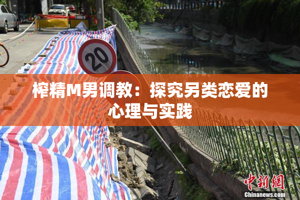 榨精M男调教：探究另类恋爱的心理与实践
