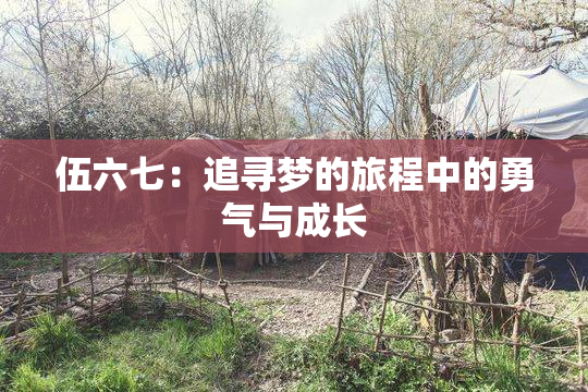 伍六七：追寻梦的旅程中的勇气与成长