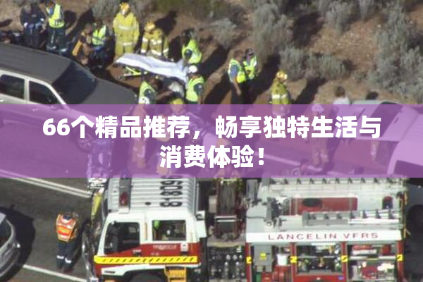 66个精品推荐，畅享独特生活与消费体验！
