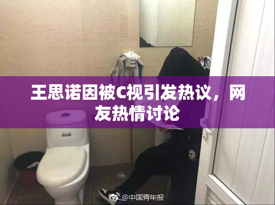 王思诺因被C视引发热议，网友热情讨论