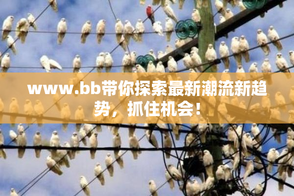 www.bb带你探索最新潮流新趋势，抓住机会！