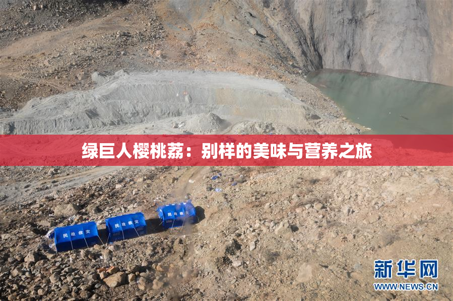 绿巨人樱桃荔：别样的美味与营养之旅