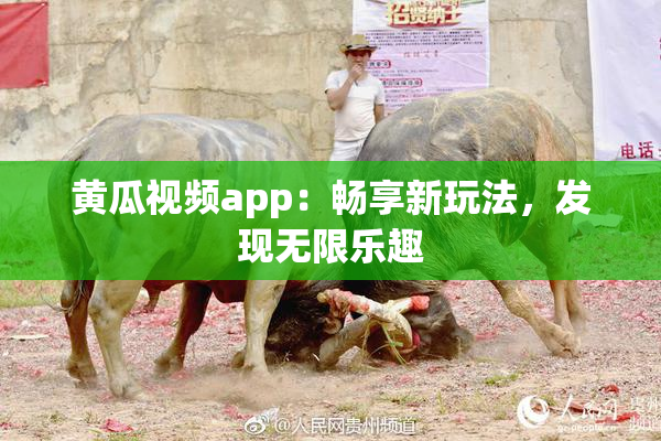 黄瓜视频app：畅享新玩法，发现无限乐趣