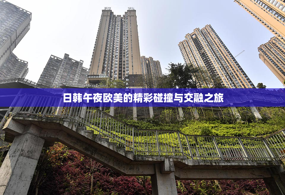 日韩午夜欧美的精彩碰撞与交融之旅