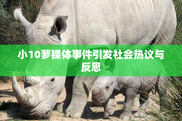 小10萝裸体事件引发社会热议与反思