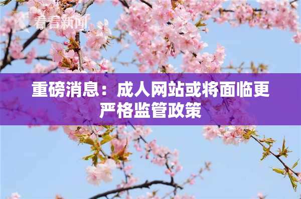 重磅消息：成人网站或将面临更严格监管政策